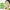 LAIKOU 7pcs Matcha Green Clay Mud Face Mask Night Facial Packs Dark Circle Moisturize Mask for Facecare