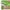 LAIKOU 7pcs Matcha Green Clay Mud Face Mask Night Facial Packs Dark Circle Moisturize Mask for Facecare