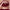 1PC Waterproof Matte Lip Liner Contours Lips in Shades Sexy Red Lipstick Matte Red Brown Lipliner Pencil Makeup Slim Lip Outline