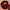 Sexy Velvet Matte Lip Gloss Liquid Lipstick Lipgloss Beauty Red Nude Waterproof Long-lasting Lip Stain Makeup For Women