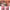 Remove Dark Lip Scrub Fast Lightening Pink Lip Exfoliating Fade Lip Line Dead Skin Moisturizer Korean Care Products Beauty Healt