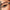 Common Eyeliner for Men and Women Waterproof, Long-lasting, Fast Drying Black Eyeliner Pen Men's Eyeliner Eye Makeup Cosmetics
