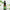 Car Perfume Refill Liquid Flavor Essential Oil with Dropper Car Air Freshener Refill For Air Humidifier Fragrance For Home Car