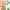 1Pcs/2Pcs/3Pcs Green Tea Triple Enzyme Exfoliating and Brightening Gel 60g, Gentle Cleansing, Moisturizing, Refreshing, Smooths Skin, Physical Exfoliation, Deep Pore Cleansing, Makes Skin Moisturized and Smooth, Suitable for